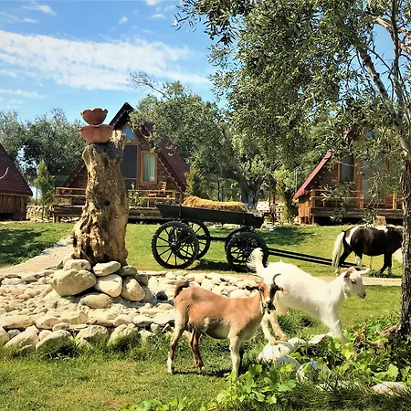Ida Natura Life Style Kazdaglari Hotel 3*