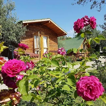 Hotel Ida Natura Life Style Kazdaglari 3*